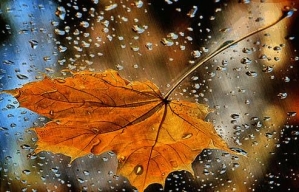 Вірші про осінній дощ